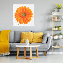 Search for daisy photography posters orange
