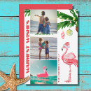 Search for beach christmas cards flamingo