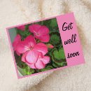 Search for pink postcards blooms