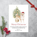 Search for shiba inu christmas cards Cute