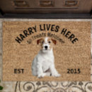 Search for jack russell terrier gifts Pets