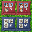 Search for 4th of july lawn games Pet