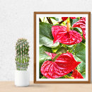 Search for puerto vallarta posters Photography