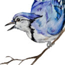 Search for blue jay stickers Nature