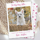 Search for pet sitter cards Puppy
