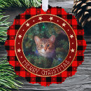 Search for paper photo ornaments Cat