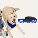 Search for dog leashes Blue