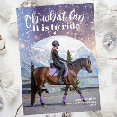 Search for equestrian holiday cards Show jumping