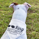 Search for dog clothes For pets