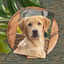 Search for happy mothers day from dog Make it diy yourself