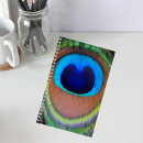 Search for peacock notebooks Peafowl
