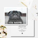 Search for announcing death of dog New address