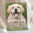 Search for birthday invitation postcards Pet