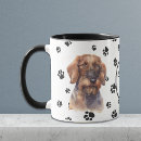Search for dachshund mugs animal