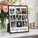 Search for pet memorial plaques Elegant