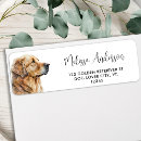 Search for golden retriever return address labels Dog