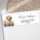 Search for labrador retriever gifts Cute puppy