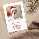 Search for dog lovers christmas cards Cute