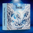 Search for dragon binders Kids