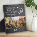 Search for pet memorials Simple