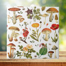 Search for mushroom tiles Botanical