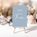 Search for dusty blue table cards Script