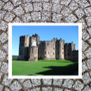 Search for castle postcards northumberland