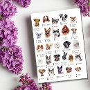 Search for chihuahua cards stamps great dane