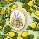 Search for lemon knobs and pulls Cute