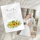 Search for sunflower thank you cards Simple