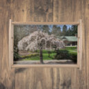 Search for cherry blossom serving trays Botanical