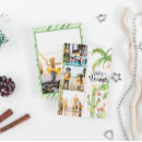 Search for cactus christmas cards Feliz navidad