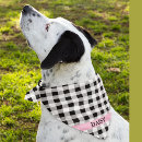 Search for pet clothing Modern