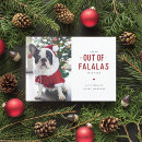 Search for funny christmas gifts For pets