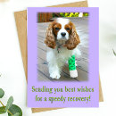 Search for dog get well cards Sweet