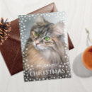Search for paw print cards Happy howlidays