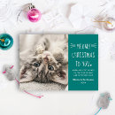 Search for funny cat christmas cards Modern