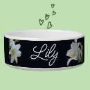 Search for rabbit pet bowls Black and white
