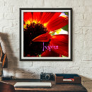 Search for daisy photography posters red