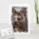 Search for yorkie pet memorials For pets