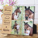 Search for rainbow bridge horse memorial Equestrian