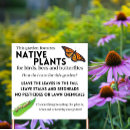 Search for butterflies outdoor signs Bees