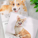 Search for corgi calendars Dog