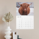 Search for farm calendars Cow