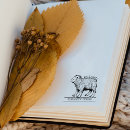 Search for capybara crafts party Book