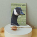 Search for surprise birthday cards Animal