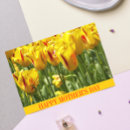 Search for happy spring photo cards Tulip