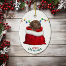 Search for chocolate lab ornaments Animal
