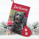 Search for christmas stockings Dog