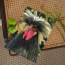 Search for funny farm birthday cards Rooster